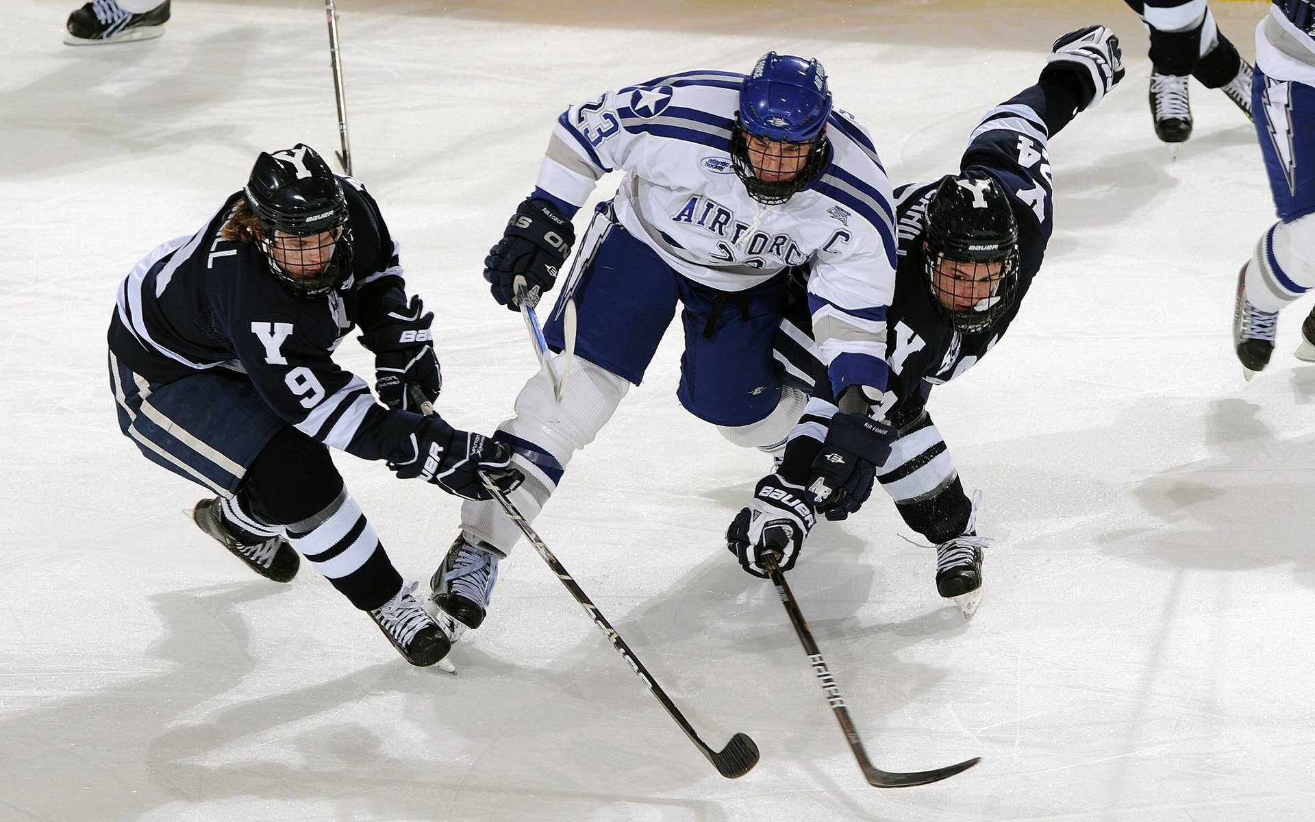 双城记,广厦铁壁锁印城,切特神兵定亚平宁