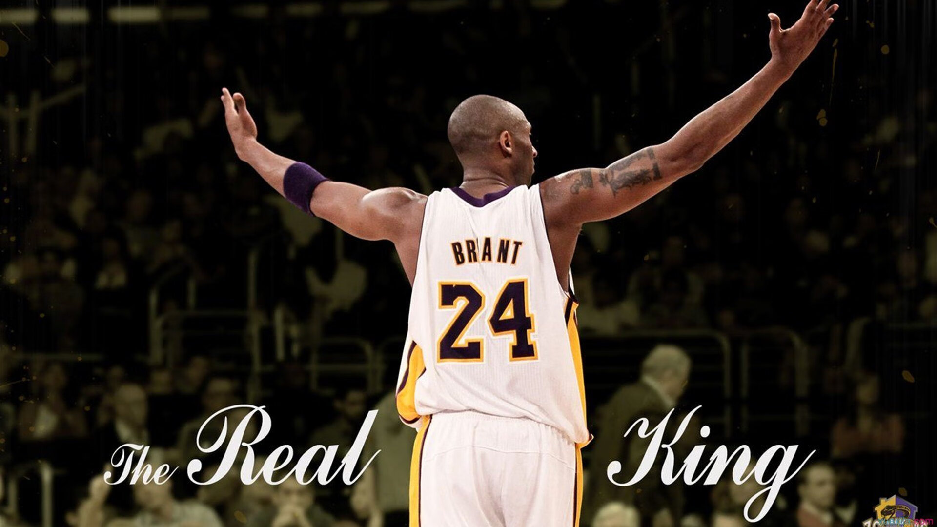 哈斯奇迹夜，绝地逆转威廉姆斯，汉密尔顿非主角却惊艳四座